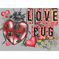 Valentine's Day-QRJ  7556